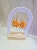 Solene  boucle